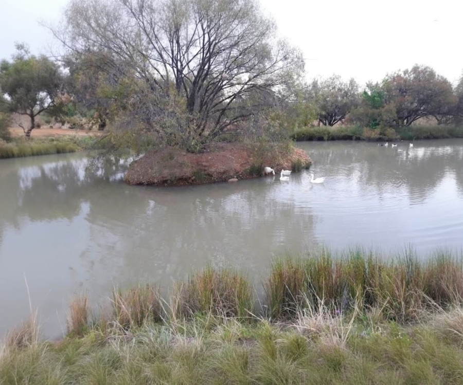 Commercial Property for Sale in Deneysville Free State